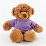 Coloured T-Shirt Bear III 20cm Barney Bear, Chestnut