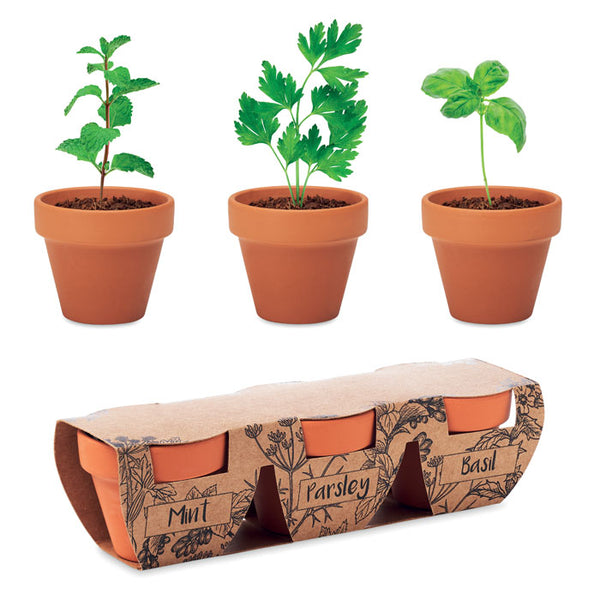 Branded Terracotta 3 herb pot set