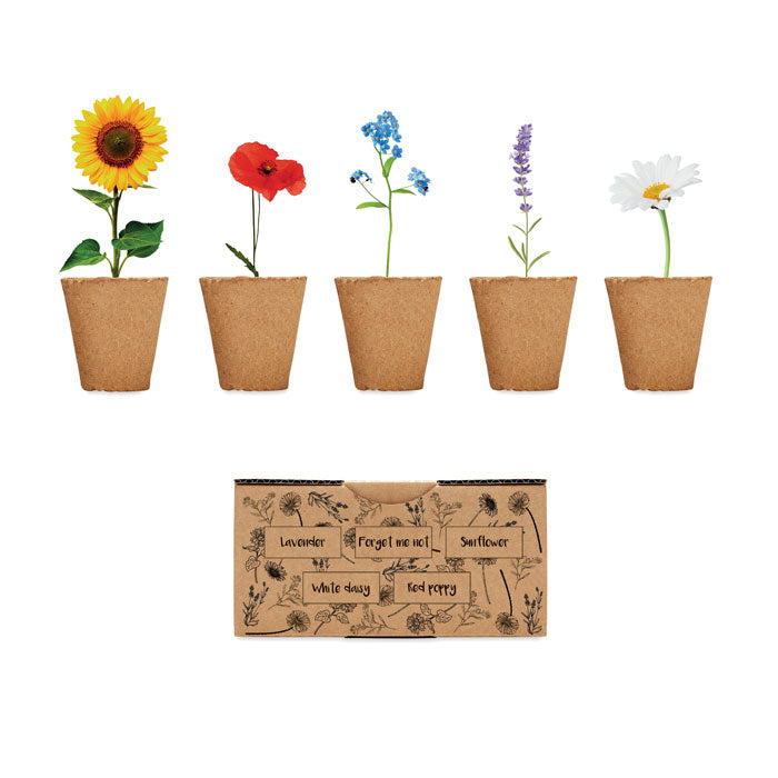 Branded Flowers growing kit