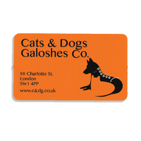 85mm x 50mm Rectangular Fridge Magnet