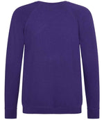 AWDis Academy Kids Raglan Sweatshirt Purple