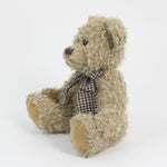 Hi Vis Bear III