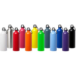Oregon 750 ml RCS certified single wall stainless steel water bottle with carabiner