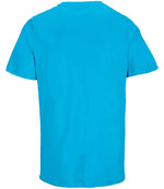 SOL'S Unisex Legend Organic T-Shirt Aqua