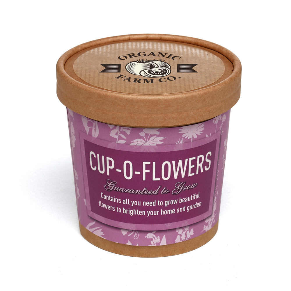 Seed Pot Cup'o Cardboard Pot Butterfly & Bee Mix