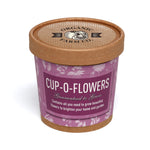 Seed Pot Cup'o Cardboard Pot Butterfly & Bee Mix