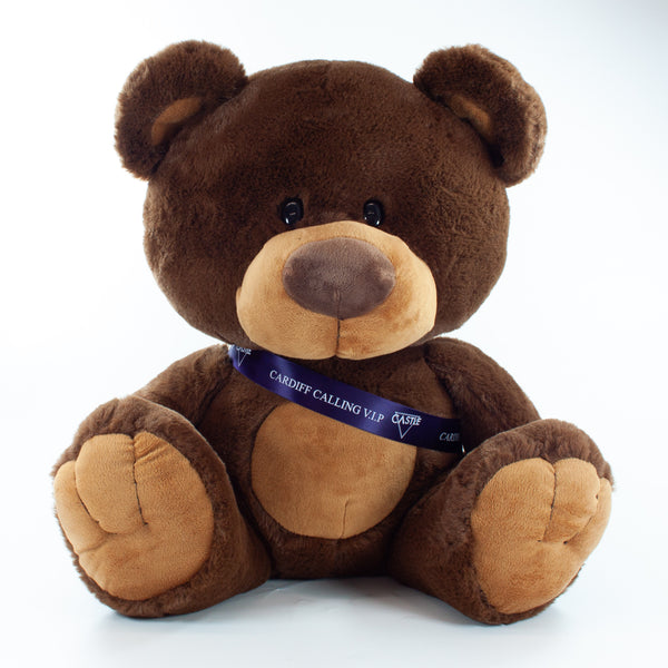 Sash Bear II 35cm Charlton Bear, Chocolate