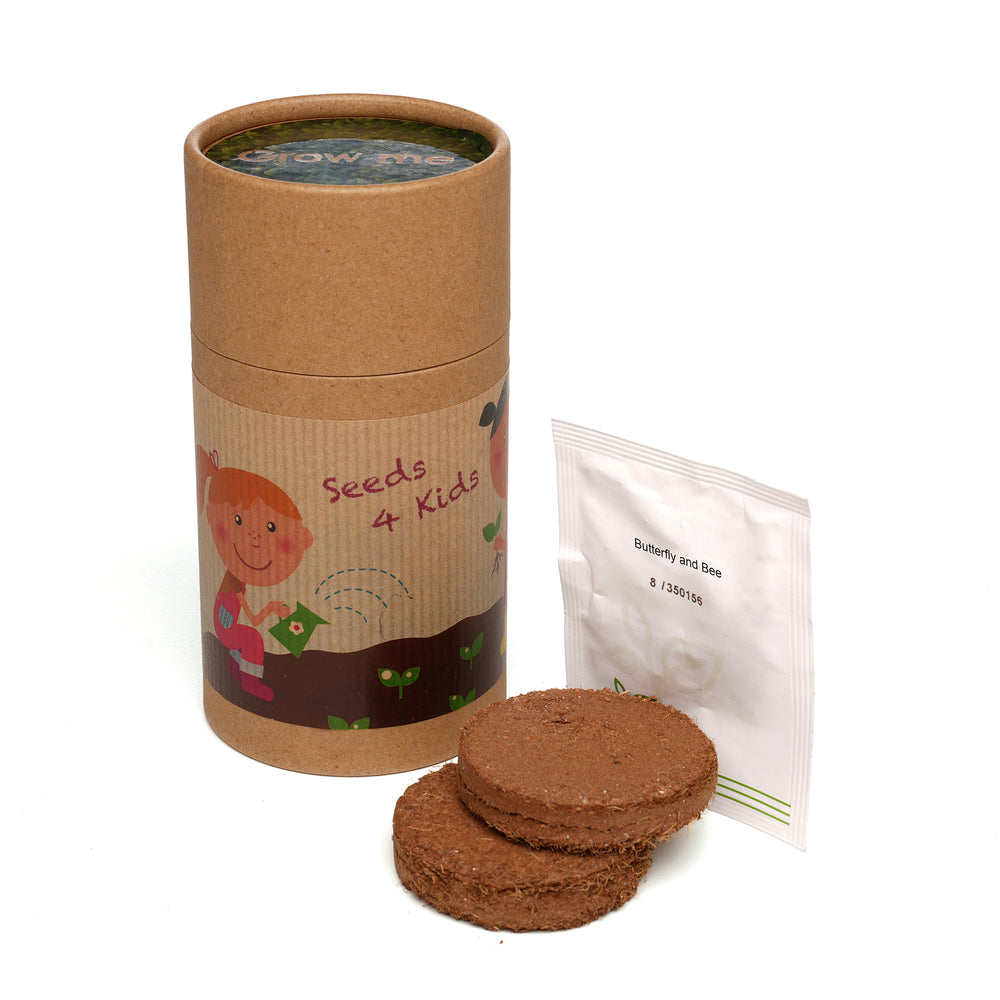 Seed Drum Cardboard Tube Butterfly & Bee Mix