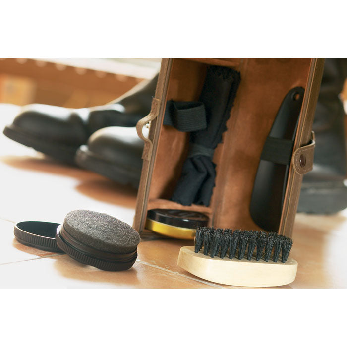 Shoe polish kit