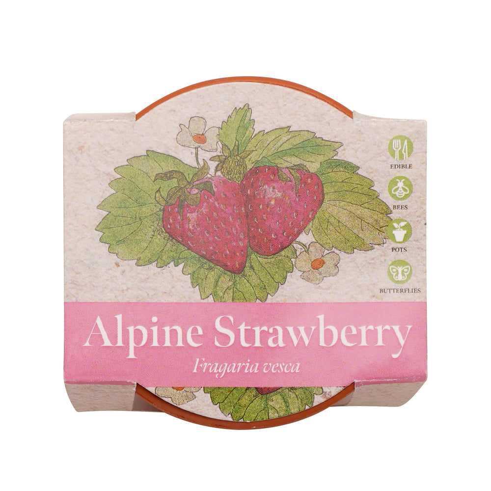 Growing Gift Strawberry