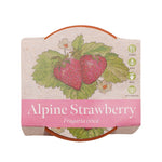 Growing Gift Strawberry