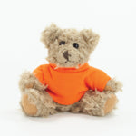 Coloured T-Shirt Bear III 15cm Windsor Bear