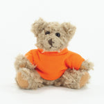Coloured T-Shirt Bear III 15cm Windsor Bear