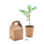 Branded Pine tree set