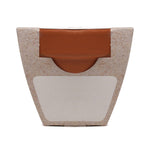 Growing Gift Norwegian Spruce