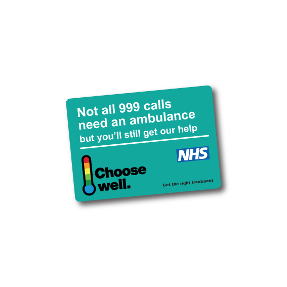 Branded Rectangle Shaped Fridge Magnet (105x148mm)