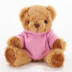 Coloured Hoodie Bear 20cm Jasper Bear
