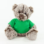 Coloured T-Shirt Bear II 15cm Premier Bear, Cocoa
