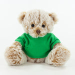 Coloured T-Shirt Bear II 15cm Premier Bear, Fudge