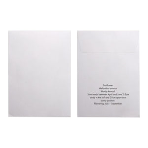 Seed Pack in White Paper Envelope Sunflower