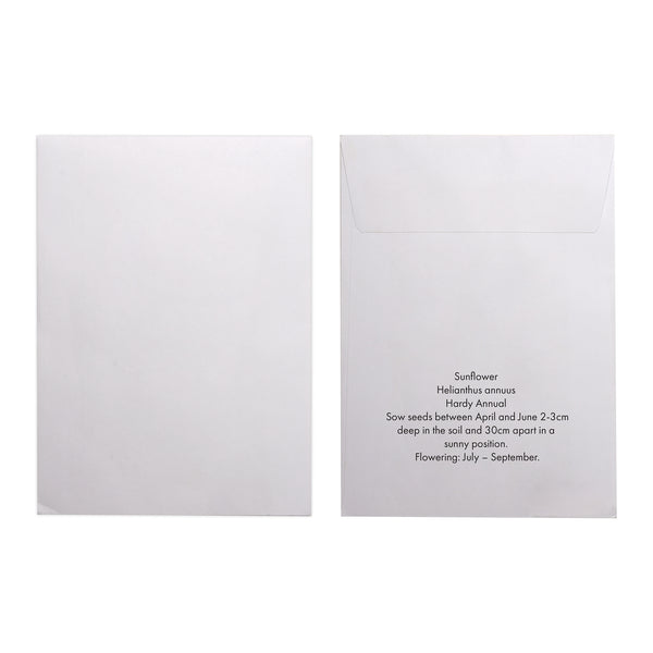 Seed Pack in White Paper Envelope Sunflower