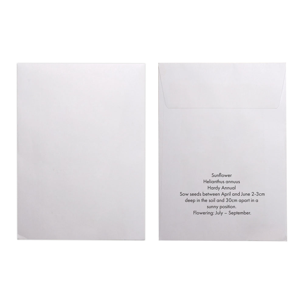 Seed Pack in White Paper Envelope Sunflower