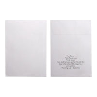 Seed Pack in White Paper Envelope