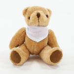 Branded Bandanna Bear II