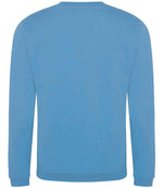 Pro RTX Pro Sweatshirt Sky Blue