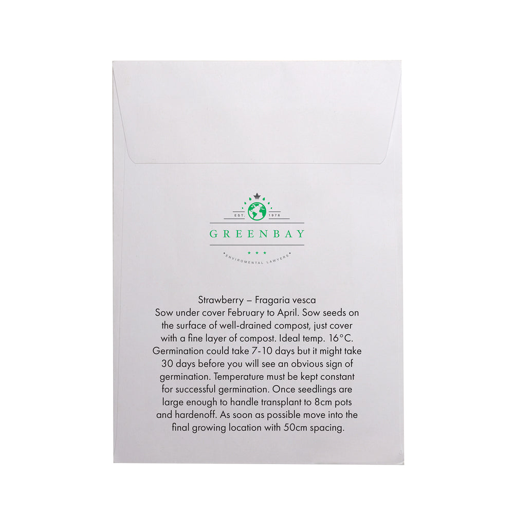 Seed Pack in White Paper Envelope Strawberry