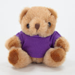 Coloured T-Shirt Bear II 13cm Jasper Bear