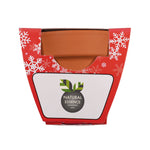 Growing Gift Norwegian Spruce