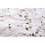 Branded A4 wildflower seed paper sheet