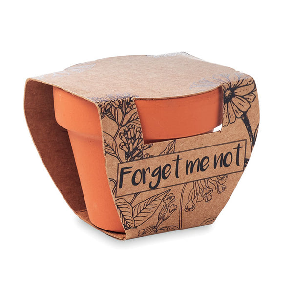 Terracotta Pot with Seeds