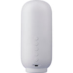 The Rumi - Recycled speaker