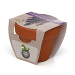 Growing Gift Lavendar