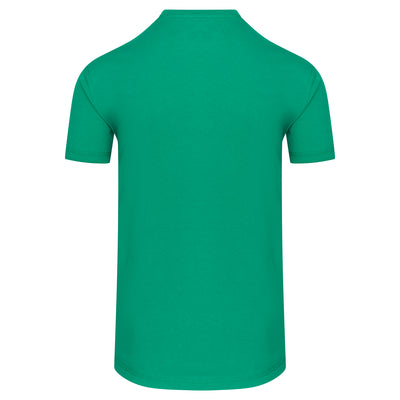 Orn Plover Premium T-Shirt