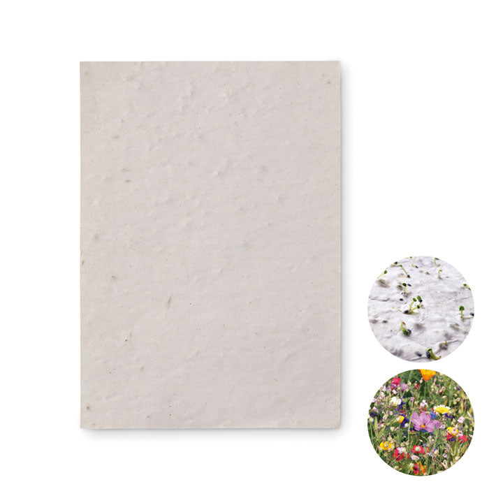 Branded A6 wildflower seed paper sheet
