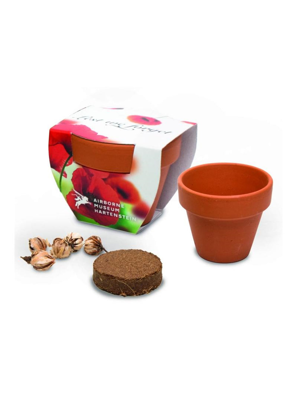 Branded 5cm Terracotta Pot