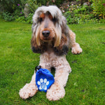 Branded Dog Treat Bag