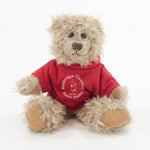 Coloured T-Shirt Bear III