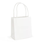 Branded Brunswick Small Paper Bag with matching paper twisted handles