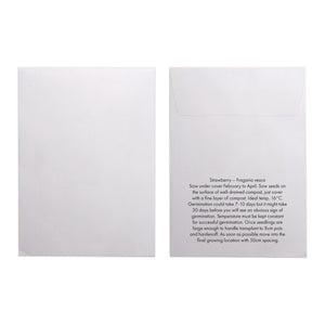Seed Pack in White Paper Envelope Strawberry