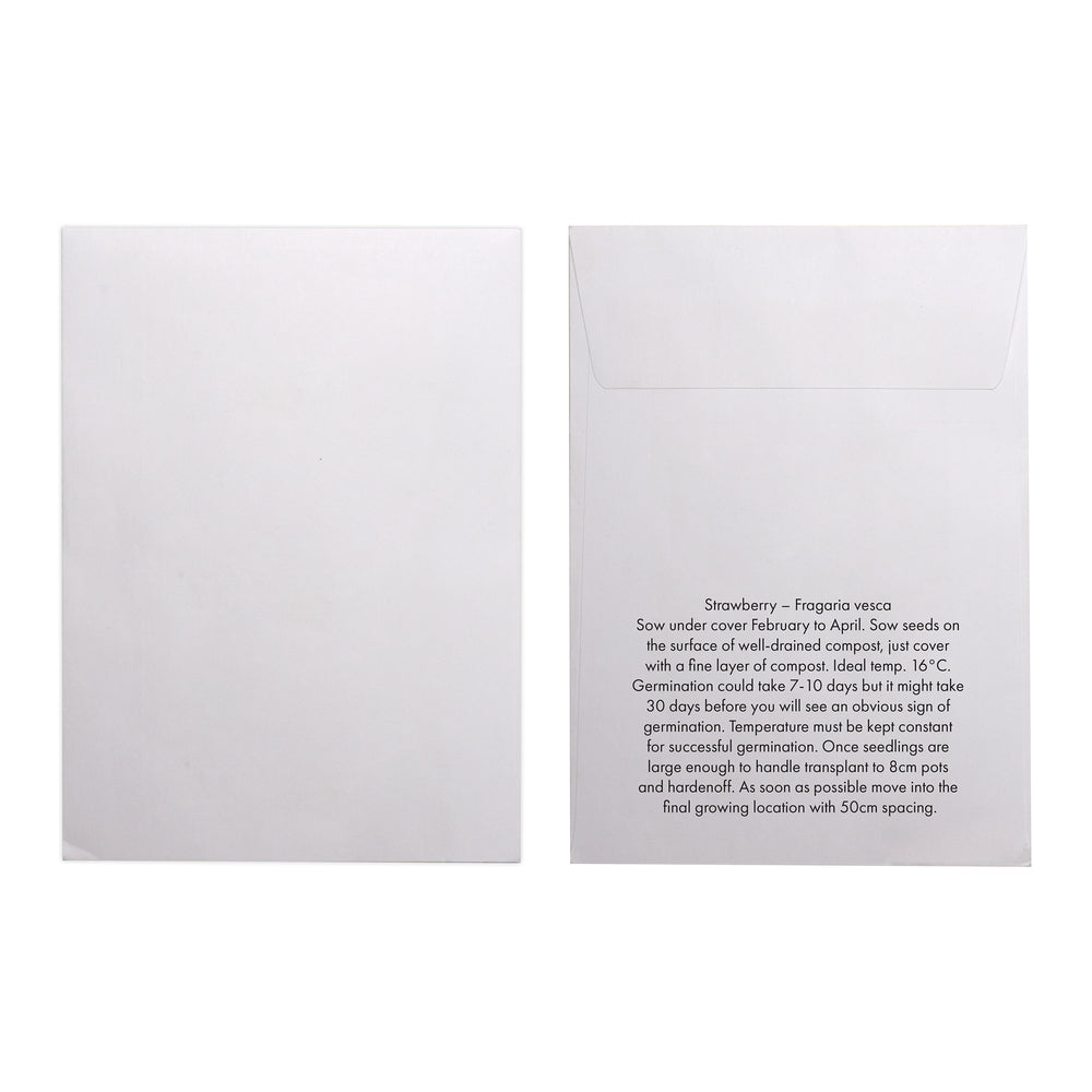 Seed Pack in White Paper Envelope Strawberry