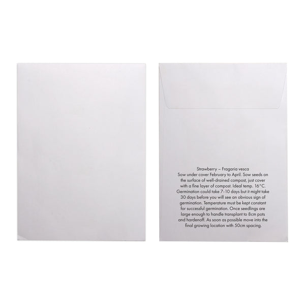 Seed Pack in White Paper Envelope Strawberry