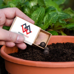 Seedball Matchboxes