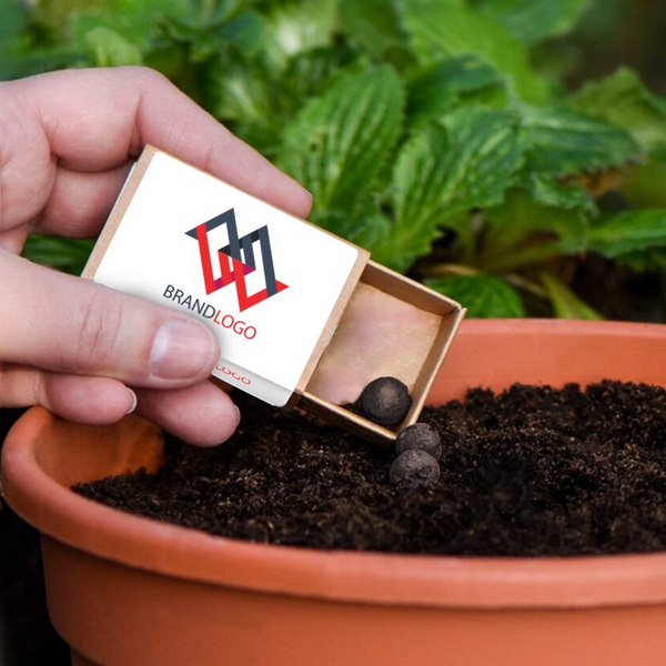 Seedball Matchboxes