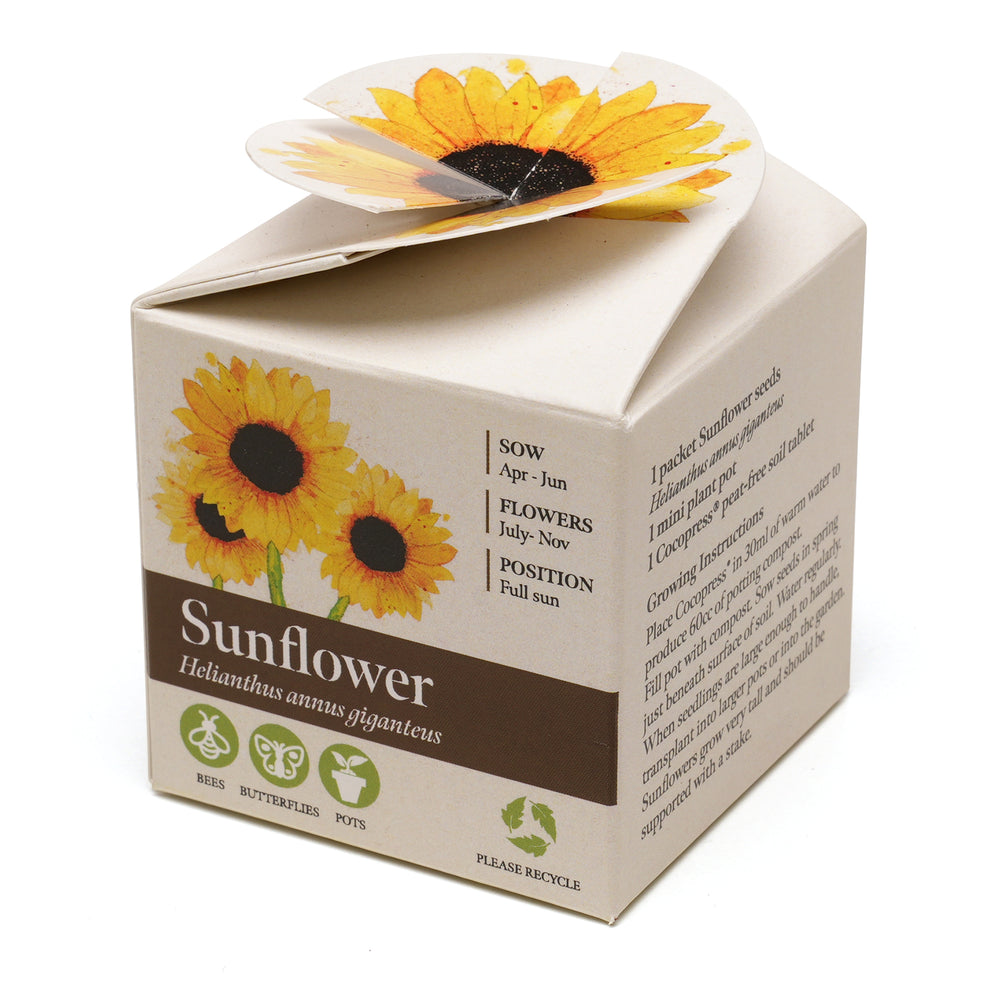Mini Box Kit Sunflower