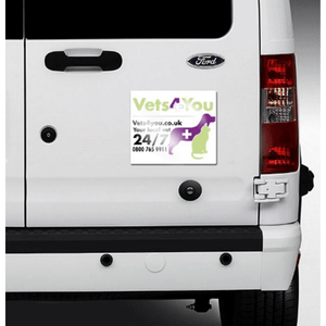 A4 Vehicle Magnets