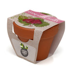 Growing Gift Strawberry